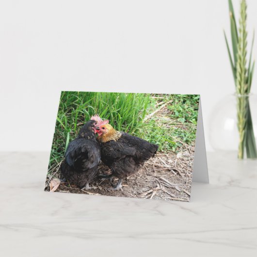 Sweet Snuggling Chickens Fotografy Custom Karte (Vorderseite)