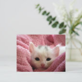 Sweet soft kitty bleibe warm postkarte (Stehend Vorderseite)