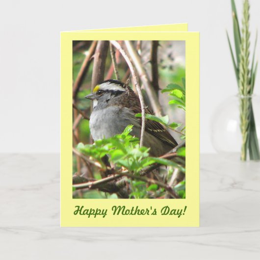 Sweet Sparrow zum Muttertag Karte (Vorderseite)