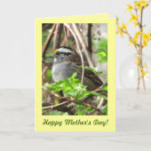 Sweet Sparrow zum Muttertag Karte (Gelbe Blume)