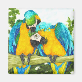 Sweet Spot - Blue & Gold Macaws Magnet