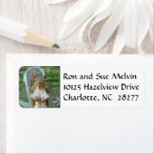 Sweet Squirrel Face Rücksendeadressen-Aufkleber (Insitu)