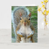 Sweet Squirrel Face (vertikal) Karte (Gelbe Blume)