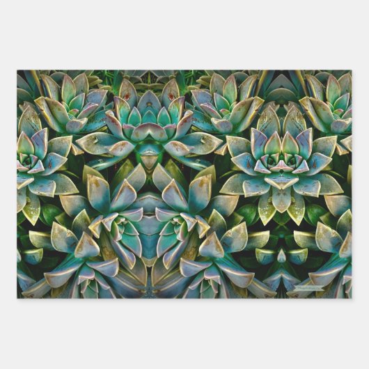 Sweet Succulent Wrapping Paper Sheets Geschenkpapier Set (Vorderseite 3)
