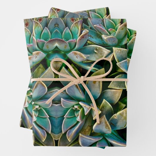 Sweet Succulent Wrapping Paper Sheets Geschenkpapier Set (Beispiel)