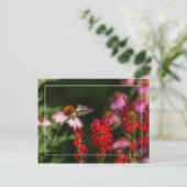 Sweet Summer Postkarte (Stehend Vorderseite)