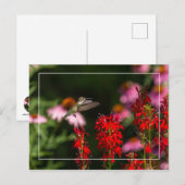 Sweet Summer Postkarte (Vorne/Hinten)