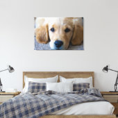 Sweet, Sweet Puppy Leinwanddruck (Insitu (Schlafzimmer))