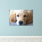 Sweet, Sweet Puppy Leinwanddruck (Insitu (Holzboden))