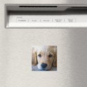 Sweet, Sweet Puppy Magnet (In Situ (Geschirrspüler))