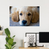 Sweet, Sweet Puppy Poster (Heimbüro)