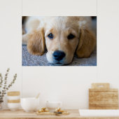 Sweet, Sweet Puppy Poster (Küche)