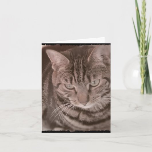 Sweet Tabby Cat Card Karte (Vorderseite)