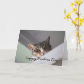 Sweet Tabby Cat Happy Mothers Day Card Karte (Gelbe Blume)