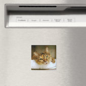 Sweet Tabby Cat Magnet (In Situ (Geschirrspüler))