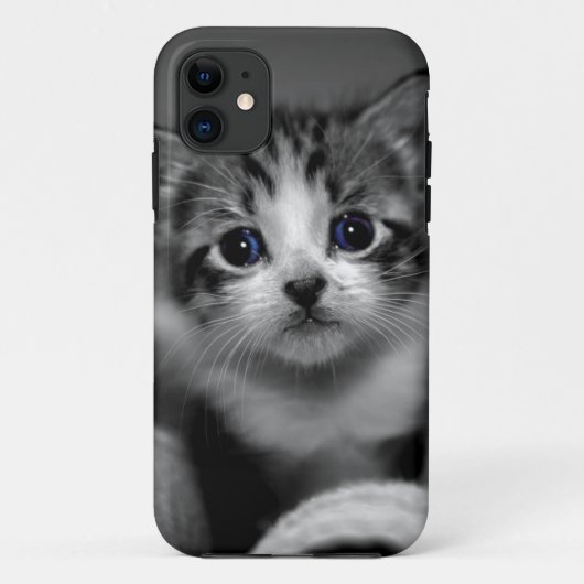 Sweet Tabby Kitten Case-Mate iPhone Hülle (Rückseite)