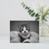 Sweet Tabby Kitten Postkarte (Stehend Vorderseite)