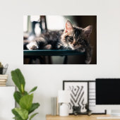 Sweet Tabby Poster (Heimbüro)