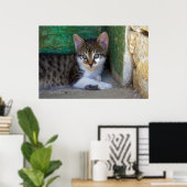 Sweet Tiger Cat Baby Poster (Heimbüro)