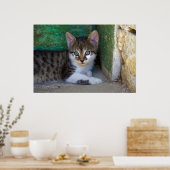 Sweet Tiger Cat Baby Poster (Küche)