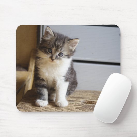 Sweet Tomcat Kitten Mousepad (Mit Mouse)