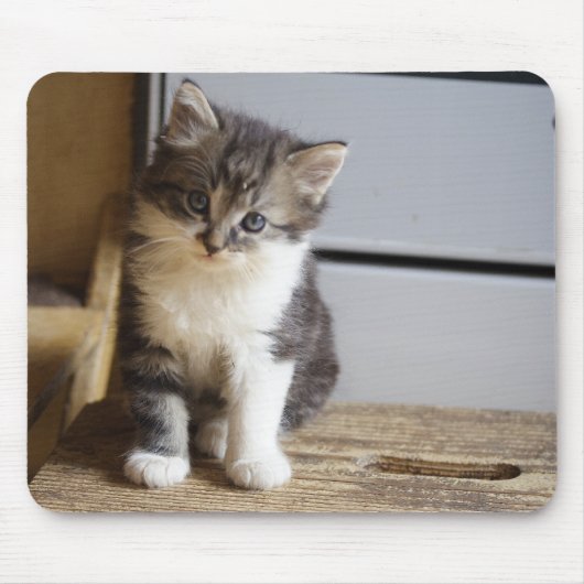 Sweet Tomcat Kitten Mousepad (Vorne)