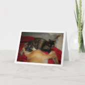 Sweet Tortoiseshell Kitten mit Puppy Karte (Vorderseite)