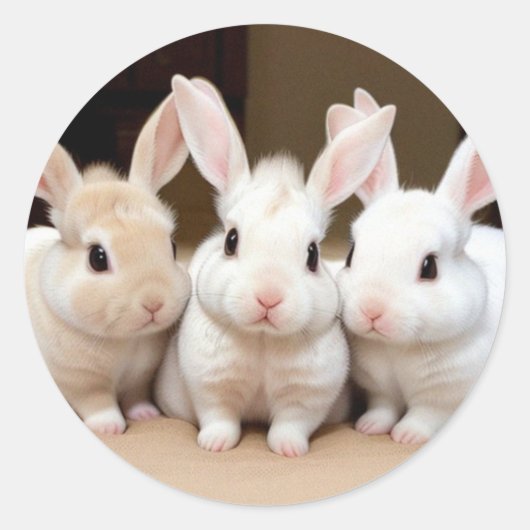 Sweet Trio von Fluffy Bunnies Runder Aufkleber (Vorderseite)