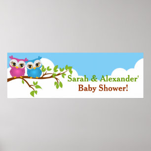 Sweet Twins Owls Boy Girl Baby Showbanner Poster