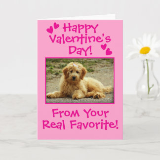 Sweet Valentine's Day From The Dog Photo Card Karte