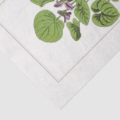 Sweet Violet Botanical Illustration 1885  Seidenpapier (Ausschnitt)