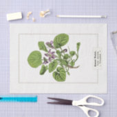 Sweet Violet Botanical Illustration 1885 Seidenpapier (Handwerk)