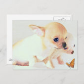 Sweet Weppies Postcard Postkarte (Vorne/Hinten)