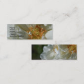 Sweet White 2 White Roses Visitenkarten Mini Visitenkarte (Vorne/Hinten)