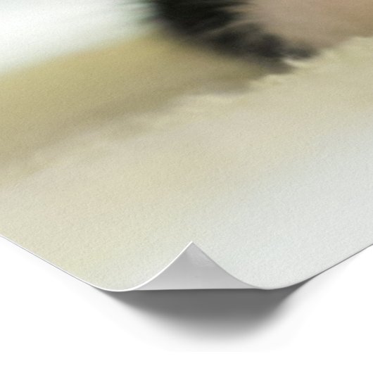 Sweet White and Black Kitten Poster (Ecke)