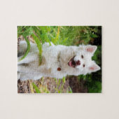 Sweet White Lapp Hund Hund Green Background Foto Puzzle (Horizontal)