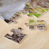 Sweet White Lapp Hund Hund Green Background Foto Puzzle (Seite)