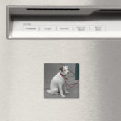Sweet White Mongrel Magnet (In Situ (Geschirrspüler))