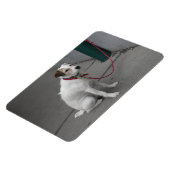Sweet White Mongrel Magnet (Linke Seite)