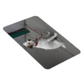 Sweet White Mongrel Magnet (Rechte Seite)