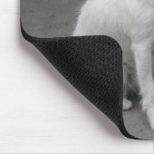 Sweet White Mongrel Mousepad (Ecke)