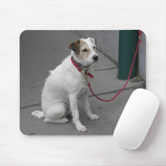 Sweet White Mongrel Mousepad (Mit Mouse)