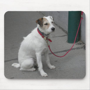 Sweet White Mongrel Mousepad