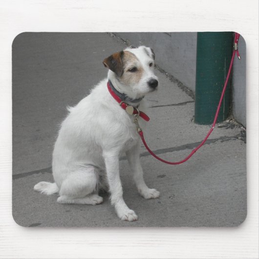 Sweet White Mongrel Mousepad (Vorne)