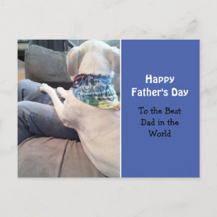 Sweet White Puppy Hund tragen farbenfrohe Scarf Bl Postkarte