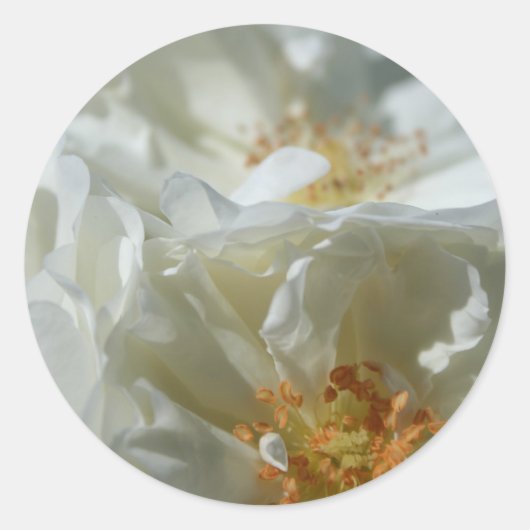 Sweet White Round Sticker 1 (Vorderseite)