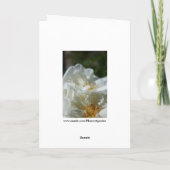 Sweet Wild White Roses Grußkarte Karte (Rückseite)