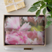 Sweet William Blume Seidenpapier (Geschenk)