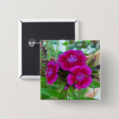 Sweet William Button (Vorne & Hinten)