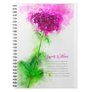 Sweet William Notizblock